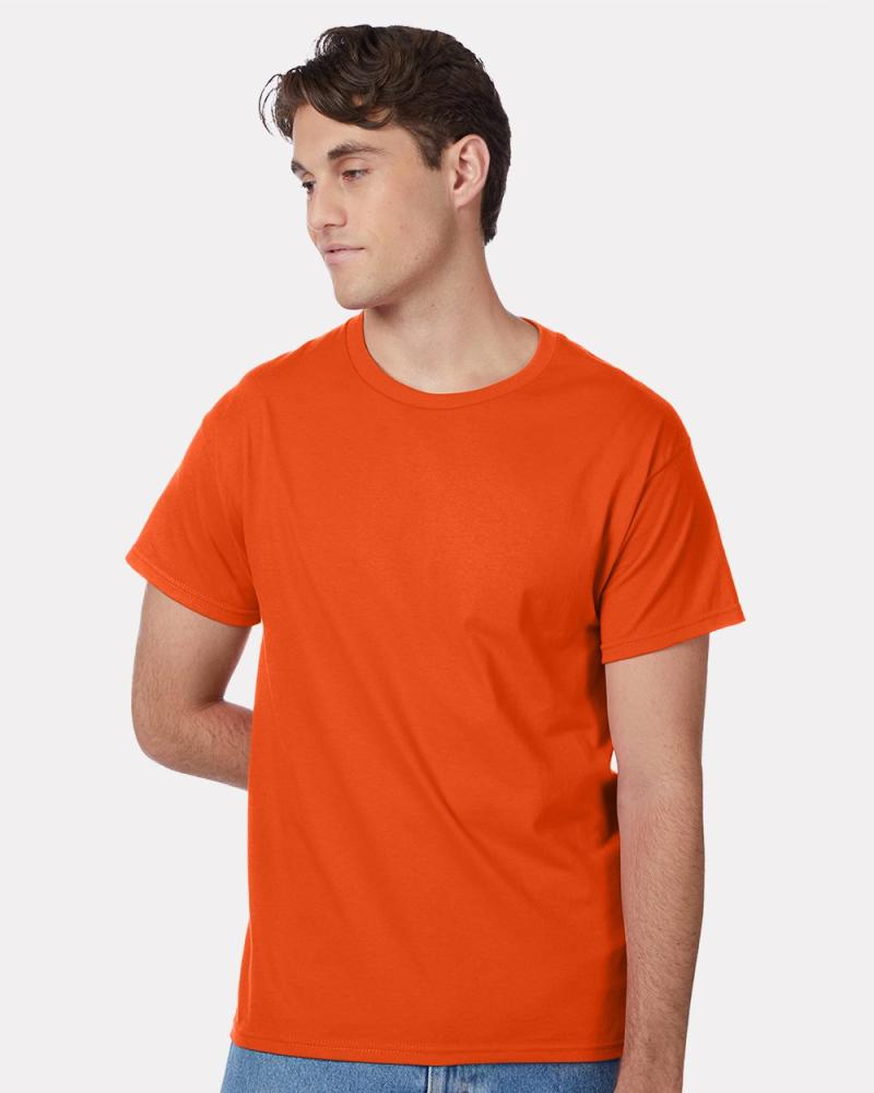Hanes 5250 Authentic T-Shirt