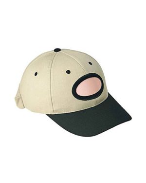 OTTO 62-318 - OTTO CAP® 6 Panel Low Profile Baseball Cap